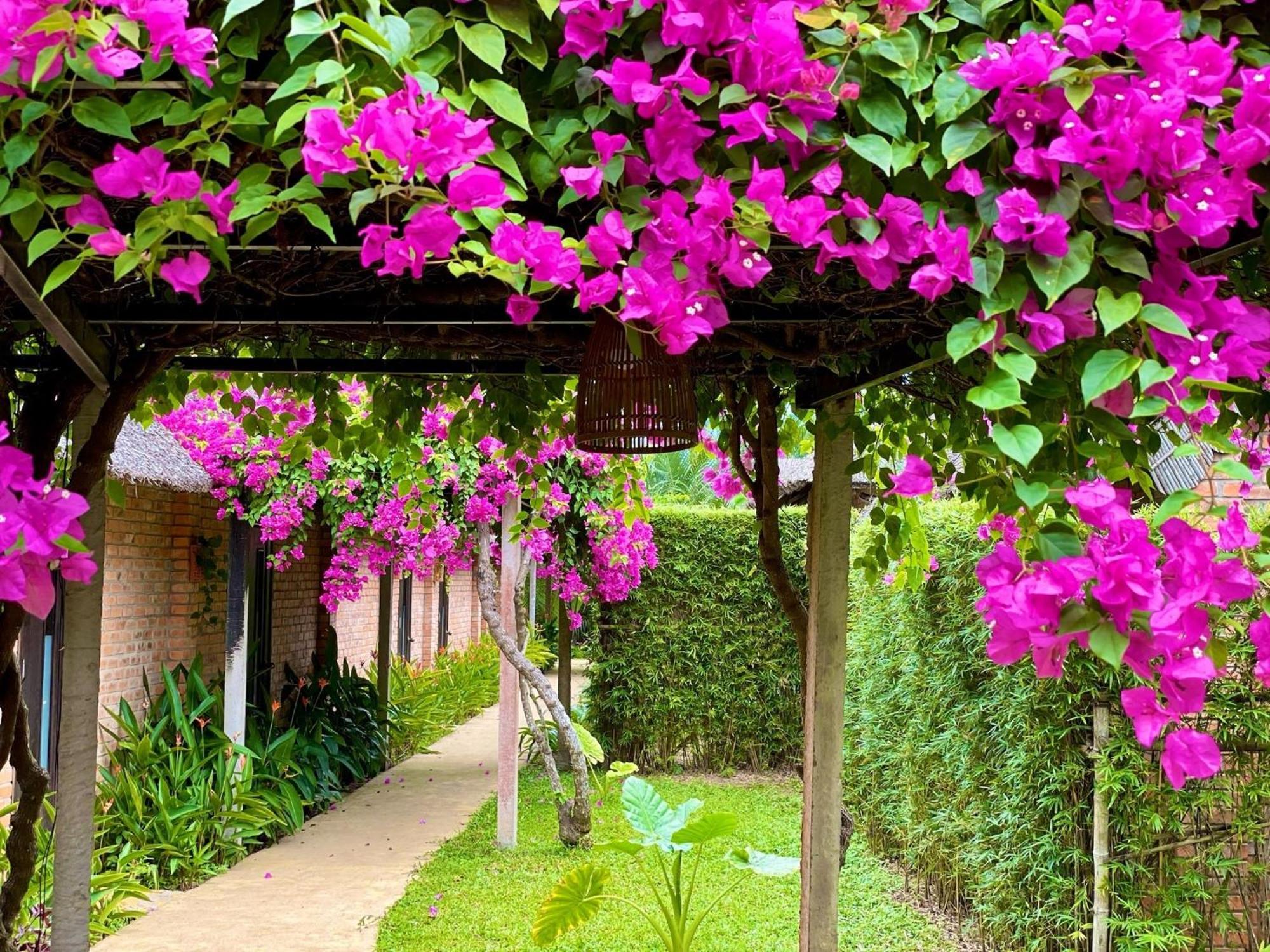 Enso Retreat Hoi An - Rediscovery & Serenity Ngoại thất bức ảnh