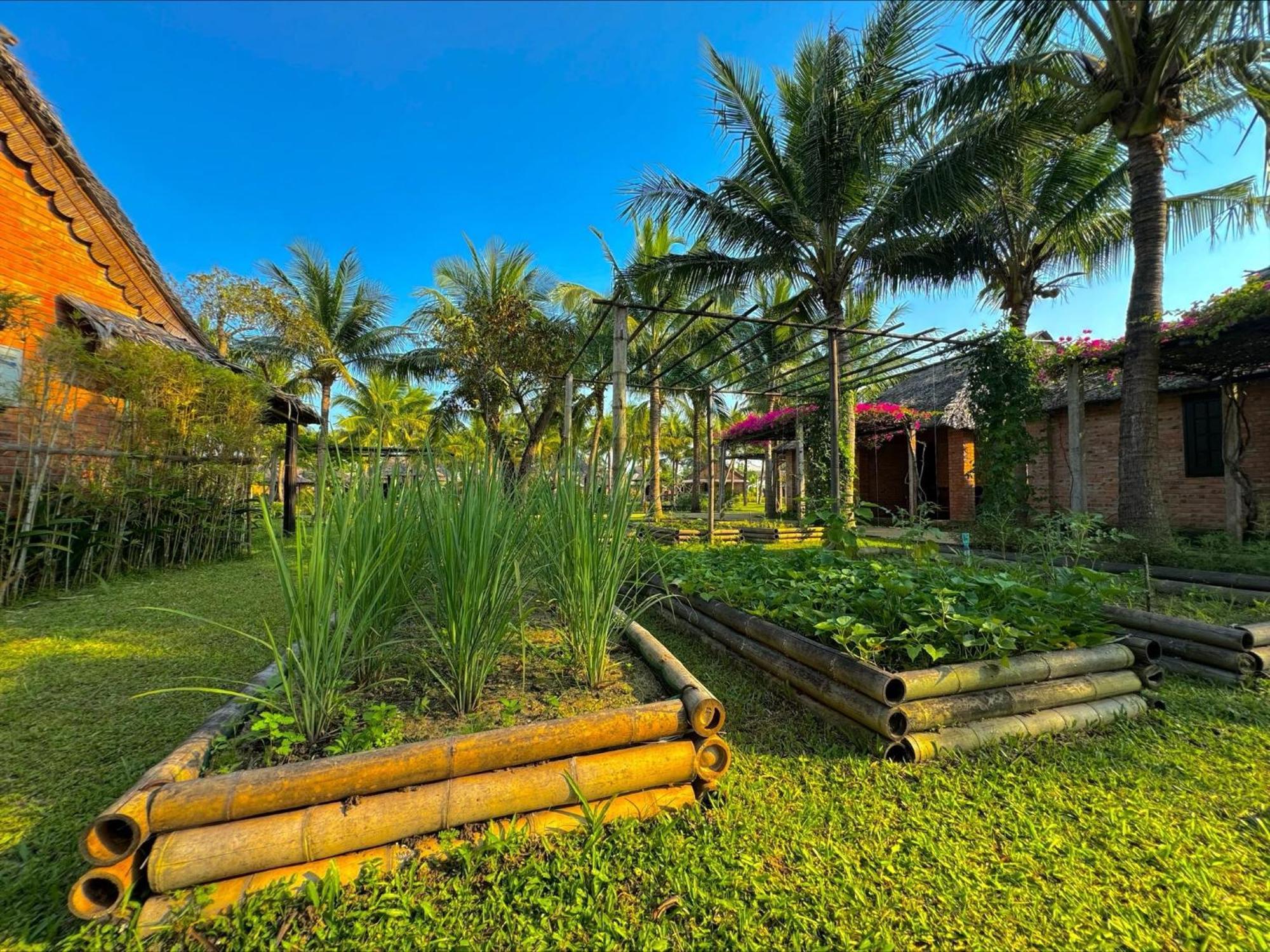 Enso Retreat Hoi An - Rediscovery & Serenity Ngoại thất bức ảnh